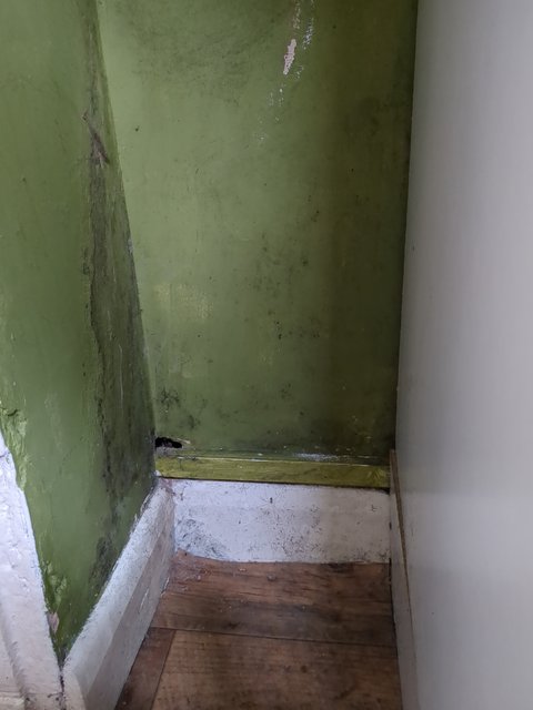 Adelphi Street, Driffield. British housing unfit for habitation due to advanced mould.