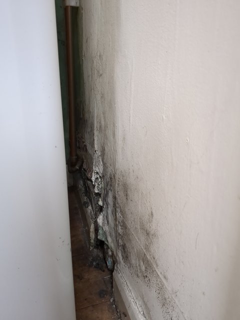 Adelphi Street, Driffield. British housing unfit for habitation due to advanced mould.