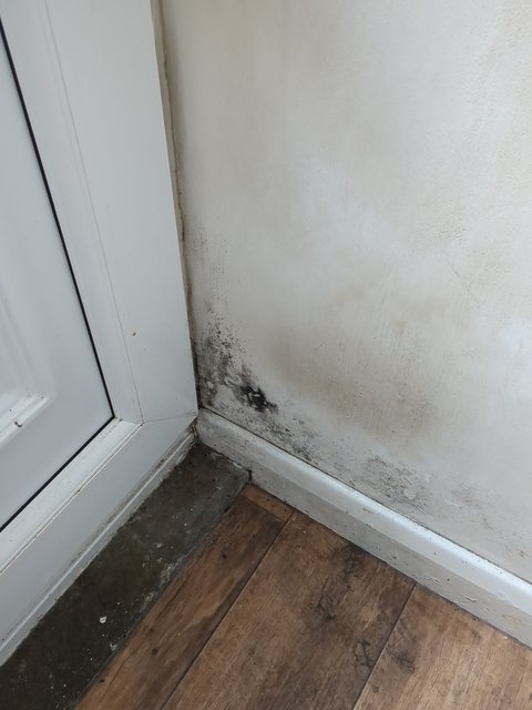 Adelphi Street, Driffield. British housing unfit for habitation due to advanced mould.